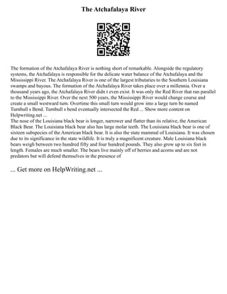 The Atchafalaya River
The formation of the Atchafalaya River is nothing short of remarkable. Alongside the regulatory
systems, the Atchafalaya is responsible for the delicate water balance of the Atchafalaya and the
Mississippi River. The Atchafalaya River is one of the largest tributaries to the Southern Louisiana
swamps and bayous. The formation of the Atchafalaya River takes place over a millennia. Over a
thousand years ago, the Atchafalaya River didn t even exist. It was only the Red River that ran parallel
to the Mississippi River. Over the next 500 years, the Mississippi River would change course and
create a small westward turn. Overtime this small turn would grow into a large turn be named
Turnbull s Bend. Turnbull s bend eventually intersected the Red ... Show more content on
Helpwriting.net ...
The nose of the Louisiana black bear is longer, narrower and flatter than its relative, the American
Black Bear. The Louisiana black bear also has large molar teeth. The Louisiana black bear is one of
sixteen subspecies of the American black bear. It is also the state mammal of Louisiana. It was chosen
due to its significance in the state wildlife. It is truly a magnificent creature. Male Louisiana black
bears weigh between two hundred fifty and four hundred pounds. They also grow up to six feet in
length. Females are much smaller. The bears live mainly off of berries and acorns and are not
predators but will defend themselves in the presence of
... Get more on HelpWriting.net ...
 
