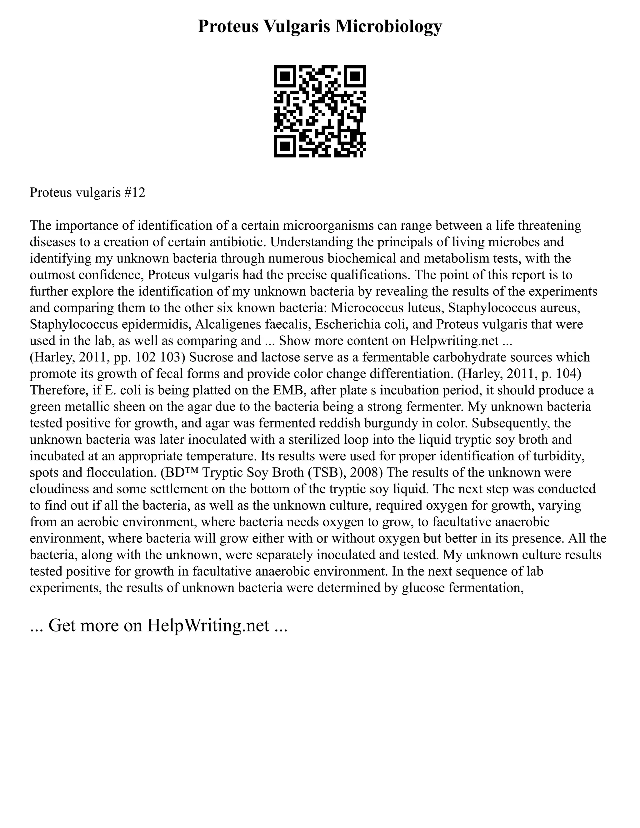 Free Printable Teddy Bear Writing Paper 97A In 2021 | PDF