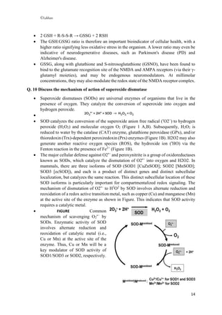 ©Lekhan
14
 2 GSH + R-S-S-R → GSSG + 2 RSH
 The GSH:GSSG ratio is therefore an important bioindicator of cellular health, with a
higher ratio signifying less oxidative stress in the organism. A lower ratio may even be
indicative of neurodegenerative diseases, such as Parkinson's disease (PD) and
Alzheimer's disease.
 GSSG, along with glutathione and S-nitrosoglutathione (GSNO), have been found to
bind to the glutamate recognition site of the NMDA and AMPA receptors (via their γ-
glutamyl moieties), and may be endogenous neuromodulators. At millimolar
concentrations, they may also modulate the redox state of the NMDA receptor complex.
Q. 10 Discuss the mechanism of action of superoxide dismutase
 Superoxide dismutases (SODs) are universal enzymes of organisms that live in the
presence of oxygen. They catalyze the conversion of superoxide into oxygen and
hydrogen peroxide.

 SOD catalyzes the conversion of the superoxide anion free radical (•
O2−
) to hydrogen
peroxide (H2O2) and molecular oxygen O2 (Figure 1 A,B). Subsequently, H2O2 is
reduced to water by the catalase (CAT) enzyme, glutathione peroxidase (GPx), and/or
thioredoxin (Trx)-dependent peroxiredoxin (Prx) enzymes (Figure 1B). H2O2 may also
generate another reactive oxygen species (ROS), the hydroxide ion (•
HO) via the
Fenton reaction in the presence of Fe2+
(Figure 1B).
 The major cellular defense against O2•−
and peroxynitrite is a group of oxidoreductases
known as SODs, which catalyze the dismutation of O2•−
into oxygen and H2O2. In
mammals, there are three isoforms of SOD (SOD1 [CuZnSOD]; SOD2 [MnSOD];
SOD3 [ecSOD]), and each is a product of distinct genes and distinct subcellular
localization, but catalyzes the same reaction. This distinct subcellular location of these
SOD isoforms is particularly important for compartmentalized redox signaling. The
mechanism of dismutation of O2•−
to H2
O2
by SOD involves alternate reduction and
reoxidation of a redox active transition metal, such as copper (Cu) and manganese (Mn)
at the active site of the enzyme as shown in Figure. This indicates that SOD activity
requires a catalytic metal.
 FIGURE Common
mechanism of scavenging O2
•−
by
SODs. Enzymatic activity of SOD
involves alternate reduction and
reoxidation of catalytic metal (i.e.,
Cu or Mn) at the active site of the
enzyme. Thus, Cu or Mn will be a
key modulator of SOD activity of
SOD1/SOD3 or SOD2, respectively.
 