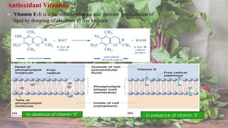 Antioxidant Vitamins --
 Vitamin E-It is a fat soluble vitamin and prevent peroxidation of
lipid by donating of electrons to free radicals
In absence of vitamin ‘E’ In presence of vitamin ‘E’
11
 