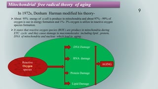 Mitochondrial free radical theory of aging
In 1972s, Denham Harman modified his theory-
 About 95% energy of a cell is produce in mitochondria and about 97% - 99% of
oxygen is use in energy formation and 1%- 3% oxygen is utilize in reactive oxygen
species formation.
 It states that reactive oxygen species (ROS ) are produce in mitochondria during
ETC cycle and they cause damage to macromolecules including lipid , protein,
DNA of mitochondria and nucleus which lead to aging .
DNA Damage
RNA damage
Protein Damage
Lipid Damage
Reactive
species
AGING
9
 