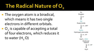 FREE RADICAL AND ANTIOXIDANT.pptx