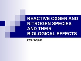 REACTIVE OXGEN AND NITROGEN SPECIES AND THEIR BIOLOGICAL EFFECTS Peter Kaplán 
