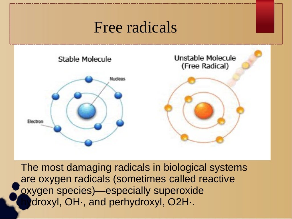 free radicals research paper