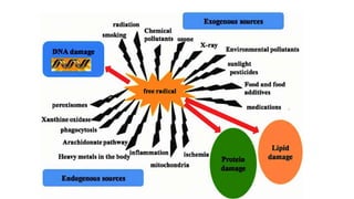Free radicals | PPTX