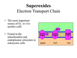 • The most important
source of O2
- in vivo
aerobic cells
• Found in the
mitochondria and
endoplasmic reticulum in
eukaryotic cells
Superoxides
Electron Transport Chain
 