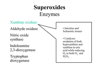 • Intestine and
Ischaemic tissues
• Catalyzes
oxidation of both
hypoxanthine and
xanthine to uric
acid while reducing
O2 to both O2
- and
H2O2.
Xanthine oxidase
Aldehyde oxidase
Nitric oxide
synthase
Indoleamine
2,3-dioxygenase
Tryptophan
dioxygenase
Superoxides
Enzymes
 