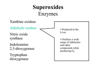 • Produced in the
Liver
• Oxidizes a wide
range of aldehydes
and other
compounds while
producing O2
-
Superoxides
Enzymes
Xanthine oxidase
Aldehyde oxidase
Nitric oxide
synthase
Indoleamine
2,3-dioxygenase
Tryptophan
dioxygenase
 