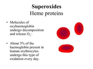 • Molecules of
oxyhaemoglobin
undergo decomposition
and release O2
-.
• About 3% of the
haemoglobin present in
human erythrocytes
undergo this type of
oxidation every day.
Superoxides
Heme proteins
 
