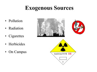 Exogenous Sources
• Pollution
• Radiation
• Cigarettes
• Herbicides
• On Campus
 