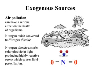 Exogenous Sources
Air pollution
can have a serious
effect on the health
of organisms.
0 = N = 0
Nitrogen oxide converted
to Nitrogen dioxide
Nitrogen dioxide absorbs
solar ultraviolet light
producing highly reactive
ozone which causes lipid
peroxidation.
 