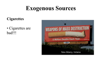 Exogenous Sources
Cigarettes
• Cigarettes are
bad!!!
 