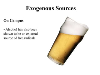 Exogenous Sources
On Campus
• Alcohol has also been
shown to be an external
source of free radicals.
 