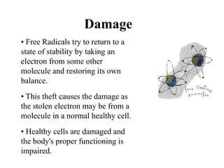 Damage
• Free Radicals try to return to a
state of stability by taking an
electron from some other
molecule and restoring its own
balance.
• This theft causes the damage as
the stolen electron may be from a
molecule in a normal healthy cell.
• Healthy cells are damaged and
the body's proper functioning is
impaired.
 