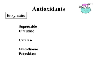 Superoxide
Dimutase
Catalase
Glatathione
Peroxidase
Enzymatic
Antioxidants
 