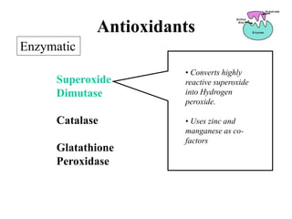 Superoxide
Dimutase
Catalase
Glatathione
Peroxidase
Enzymatic
Antioxidants
• Converts highly
reactive superoxide
into Hydrogen
peroxide.
• Uses zinc and
manganese as co-
factors
 