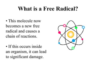 What is a Free Radical?
• This molecule now
becomes a new free
radical and causes a
chain of reactions.
• If this occurs inside
an organism, it can lead
to significant damage.
 