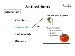 Antioxidants
Vitamins
Carotenoids
Bioflavinoids
Minerals
Molecular
Group of 500 + pigments
• Found in plants
•Beta-carotene
•Leutin
•Lycopene
 