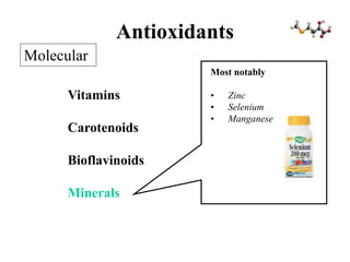 Antioxidants
Vitamins
Carotenoids
Bioflavinoids
Minerals
Molecular
Most notably
• Zinc
• Selenium
• Manganese
 