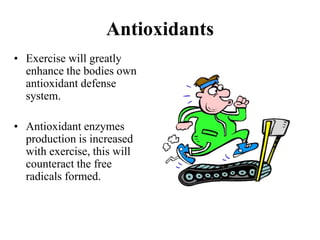 • Exercise will greatly
enhance the bodies own
antioxidant defense
system.
• Antioxidant enzymes
production is increased
with exercise, this will
counteract the free
radicals formed.
Antioxidants
 