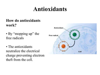 Antioxidants
How do antioxidants
work?
• By “mopping up” the
free radicals
• The antioxidants
neutralize the electrical
charge preventing electron
theft from the cell.
 