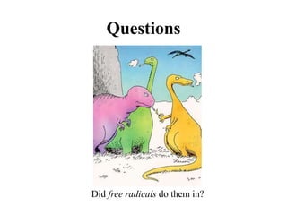 Questions
Did free radicals do them in?
 