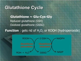 Free radicals and antioxidants | PPT