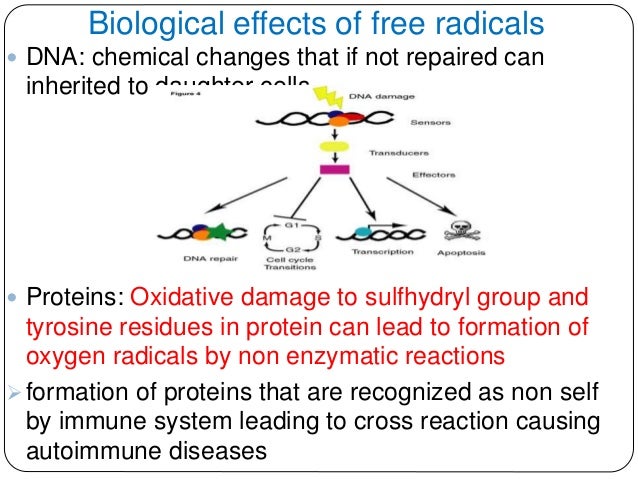 Free radicals and reactive oxygen species Free radicals and reactive oxygen species