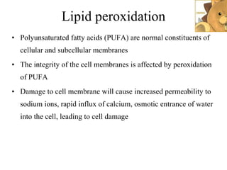 Lipid peroxidation Polyunsaturated fatty acids (PUFA) are normal constituents of cellular and subcellular membranes The integrity of the cell membranes is affected by peroxidation of PUFA Damage to cell membrane will cause increased permeability to sodium ions, rapid influx of calcium, osmotic entrance of water into the cell, leading to cell damage 