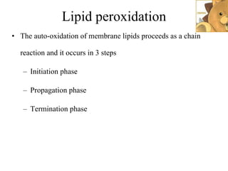 Lipid peroxidation The auto-oxidation of membrane lipids proceeds as a chain reaction and it occurs in 3 steps Initiation phase Propagation phase Termination phase 