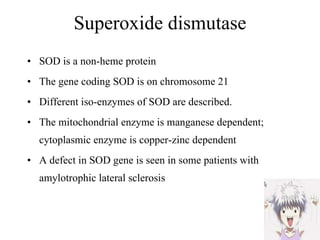 Superoxide dismutase SOD is a non-heme protein The gene coding SOD is on chromosome 21 Different iso-enzymes of SOD are described. The mitochondrial enzyme is manganese dependent; cytoplasmic enzyme is copper-zinc dependent A defect in SOD gene is seen in some patients with amylotrophic lateral sclerosis  