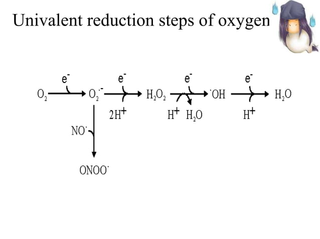 Free radicals antioxidants PPT Free radicals antioxidants PPT