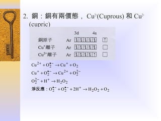 2. 銅：銅有兩價態， Cu2+(Cuprous) 和 Cu2+
(cupric)

Cu 2 + + O • − → Cu + + O 2
2
Cu + + O • − → Cu 2 + + O 2 −
2
2
O 2 − + H + → H 2O 2
2
淨反應：O • − + O • − + 2H + → H 2 O 2 + O 2
2
2

 