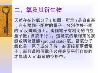 二、氧及其衍生物
天然存在的氧分子 ( 如圖一所示 ) 是自由基
，它有兩個不配對的電子，分別位於不同
的 π* 反鍵軌道上。兩個電子有相同的自旋
量子數 ( 自旋平行 ) 。這是氧的最穩定的狀
態或稱為基態 (ground state) 氧。當氧分子
氧化另一原子或分子時，必須接受兩個電
子，而且這兩個電子必須是反平行自旋的
才能填入 π* 軌道的空格中。

 