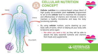 FREE RADICALS LWC.pptx