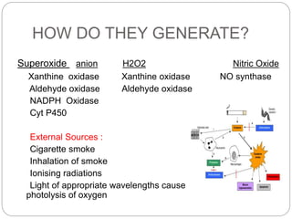 HOW DO THEY GENERATE?
Superoxide anion H2O2 Nitric Oxide
Xanthine oxidase Xanthine oxidase NO synthase
Aldehyde oxidase Al...