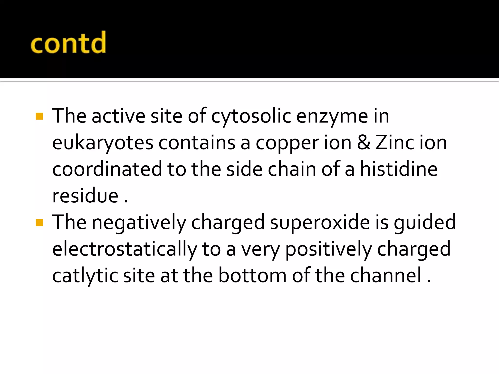  The active site of cytosolic enzyme in
eukaryotes contains a copper ion & Zinc ion
coordinated to the side chain of a histidine
residue .
 The negatively charged superoxide is guided
electrostatically to a very positively charged
catlytic site at the bottom of the channel .
 