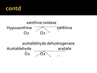 xanthine oxidase
Hypoxanthine xanthine
O2 O2 ·
acetaldehyde dehydrogenase
Acetaldehyde acetate
O2 O2 ·
 
