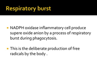  NADPH oxidase inflammatory cell produce
supere oxide anion by a process of respiratory
burst during phagocytosis.
 This is the deliberate production of free
radicals by the body .
 