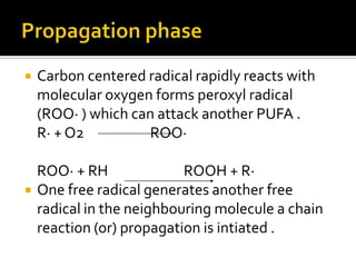  Carbon centered radical rapidly reacts with
molecular oxygen forms peroxyl radical
(ROO· ) which can attack another PUFA .
R· + O2 ROO·
ROO· + RH ROOH + R·
 One free radical generates another free
radical in the neighbouring molecule a chain
reaction (or) propagation is intiated .
 