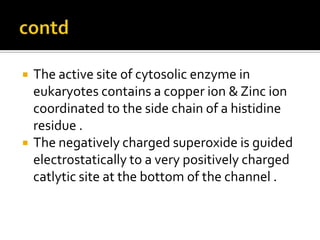  The active site of cytosolic enzyme in
eukaryotes contains a copper ion & Zinc ion
coordinated to the side chain of a histidine
residue .
 The negatively charged superoxide is guided
electrostatically to a very positively charged
catlytic site at the bottom of the channel .
 