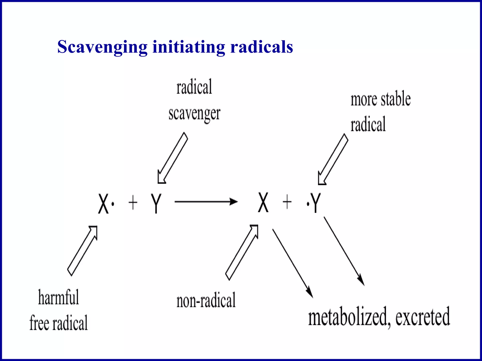 Free radical and antioxidant pdf chemistry science