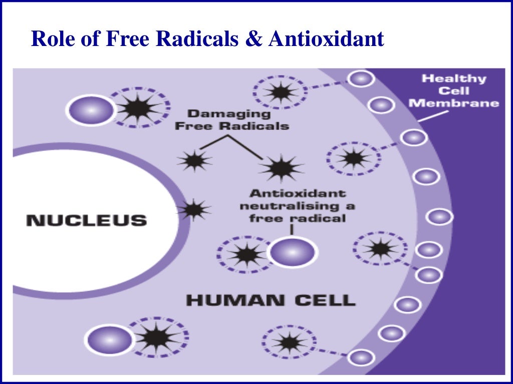Free Radical and Antioxidant