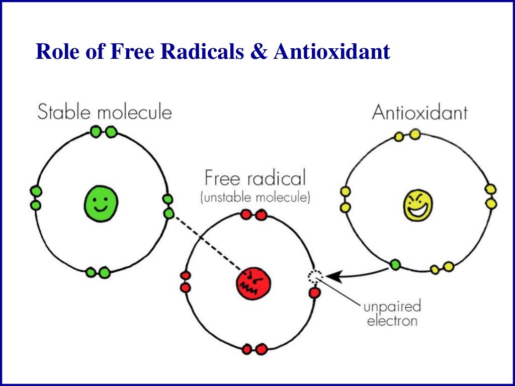 Free Radical and Antioxidant