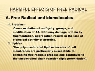 HARMFUL EFFECTS OF FREE RADICAL
A. Free Radical and biomolecules
1. Proteins:-
Cause oxidation of sulfhydryl groups, and
modification of AA. ROS may damage protein by
fragmentation, aggregation results in the loss of
biological activity of proteins.
2. Lipids:-
The polyunsaturated lipid molecules of cell
membranes are particularly susceptible to
damaging free radicals process and contribute to
the uncontrolled chain reaction (lipid peroxidation).
 