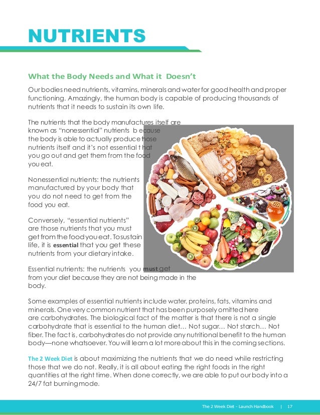 free report 2 week diet by brian flatt the