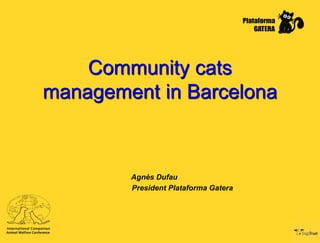 Community cats
management in Barcelona

Agnès Dufau
President Plataforma Gatera

 