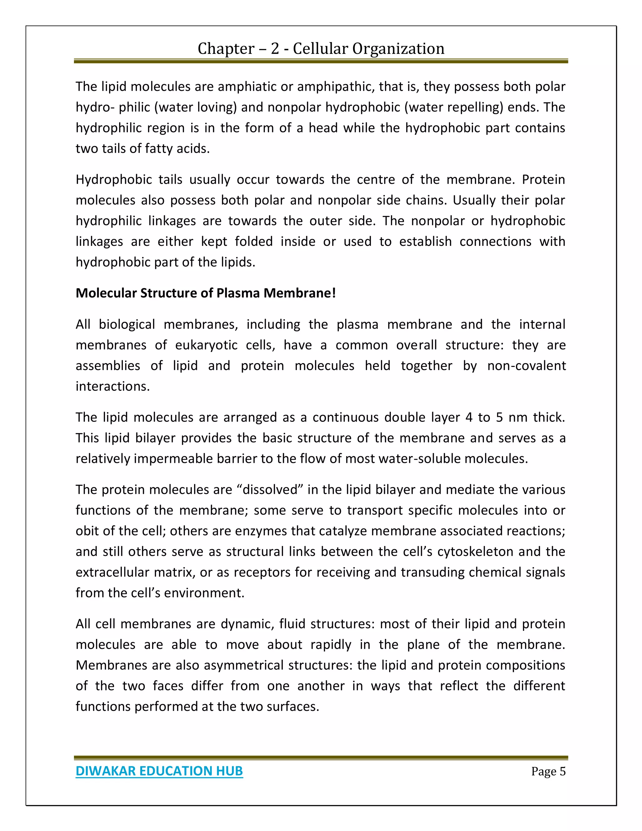 Chapter – 2 - Cellular Organization
DIWAKAR EDUCATION HUB Page 5
The lipid molecules are amphiatic or amphipathic, that is, they possess both polar
hydro- philic (water loving) and nonpolar hydrophobic (water repelling) ends. The
hydrophilic region is in the form of a head while the hydrophobic part contains
two tails of fatty acids.
Hydrophobic tails usually occur towards the centre of the membrane. Protein
molecules also possess both polar and nonpolar side chains. Usually their polar
hydrophilic linkages are towards the outer side. The nonpolar or hydrophobic
linkages are either kept folded inside or used to establish connections with
hydrophobic part of the lipids.
Molecular Structure of Plasma Membrane!
All biological membranes, including the plasma membrane and the internal
membranes of eukaryotic cells, have a common overall structure: they are
assemblies of lipid and protein molecules held together by non-covalent
interactions.
The lipid molecules are arranged as a continuous double layer 4 to 5 nm thick.
This lipid bilayer provides the basic structure of the membrane and serves as a
relatively impermeable barrier to the flow of most water-soluble molecules.
The protein molecules are “dissolved” in the lipid bilayer and mediate the various
functions of the membrane; some serve to transport specific molecules into or
obit of the cell; others are enzymes that catalyze membrane associated reactions;
and still others serve as structural links between the cell’s cytoskeleton and the
extracellular matrix, or as receptors for receiving and transuding chemical signals
from the cell’s environment.
All cell membranes are dynamic, fluid structures: most of their lipid and protein
molecules are able to move about rapidly in the plane of the membrane.
Membranes are also asymmetrical structures: the lipid and protein compositions
of the two faces differ from one another in ways that reflect the different
functions performed at the two surfaces.
 
