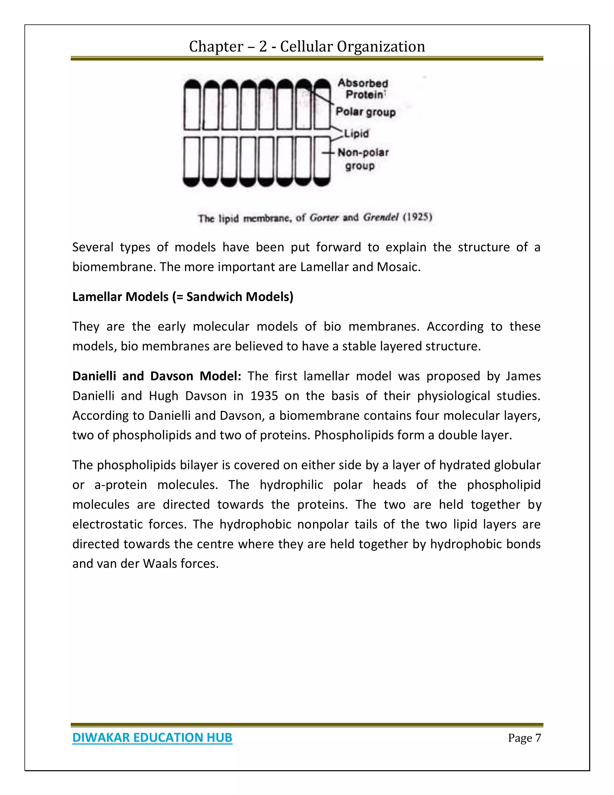 Chapter – 2 - Cellular Organization
DIWAKAR EDUCATION HUB Page 7
Several types of models have been put forward to explain the structure of a
biomembrane. The more important are Lamellar and Mosaic.
Lamellar Models (= Sandwich Models)
They are the early molecular models of bio membranes. According to these
models, bio membranes are believed to have a stable layered structure.
Danielli and Davson Model: The first lamellar model was proposed by James
Danielli and Hugh Davson in 1935 on the basis of their physiological studies.
According to Danielli and Davson, a biomembrane contains four molecular layers,
two of phospholipids and two of proteins. Phospholipids form a double layer.
The phospholipids bilayer is covered on either side by a layer of hydrated globular
or a-protein molecules. The hydrophilic polar heads of the phospholipid
molecules are directed towards the proteins. The two are held together by
electrostatic forces. The hydrophobic nonpolar tails of the two lipid layers are
directed towards the centre where they are held together by hydrophobic bonds
and van der Waals forces.
 