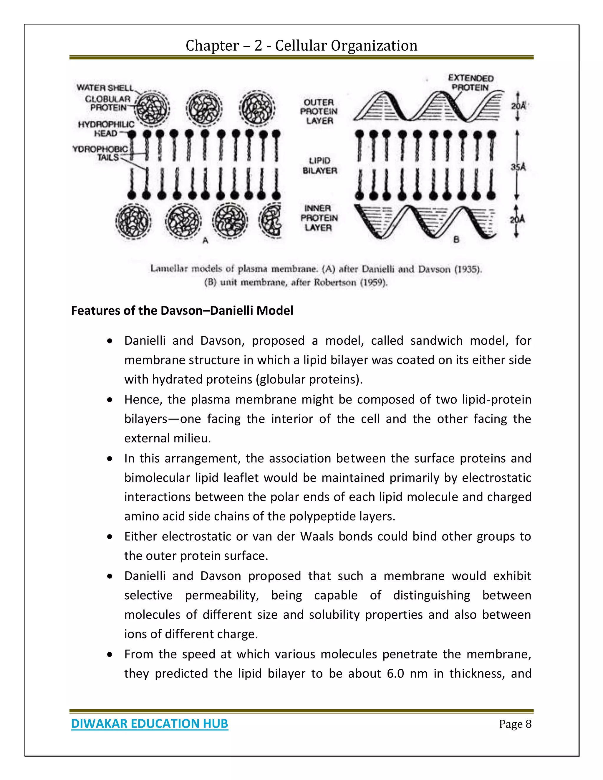 Chapter – 2 - Cellular Organization
DIWAKAR EDUCATION HUB Page 8
Features of the Davson–Danielli Model
 Danielli and Davson, proposed a model, called sandwich model, for
membrane structure in which a lipid bilayer was coated on its either side
with hydrated proteins (globular proteins).
 Hence, the plasma membrane might be composed of two lipid-protein
bilayers—one facing the interior of the cell and the other facing the
external milieu.
 In this arrangement, the association between the surface proteins and
bimolecular lipid leaflet would be maintained primarily by electrostatic
interactions between the polar ends of each lipid molecule and charged
amino acid side chains of the polypeptide layers.
 Either electrostatic or van der Waals bonds could bind other groups to
the outer protein surface.
 Danielli and Davson proposed that such a membrane would exhibit
selective permeability, being capable of distinguishing between
molecules of different size and solubility properties and also between
ions of different charge.
 From the speed at which various molecules penetrate the membrane,
they predicted the lipid bilayer to be about 6.0 nm in thickness, and
 